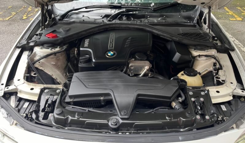 
								BMW 320I (A) full									