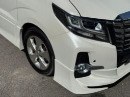 
										TOYOTA ALPHARD 3.0 (A) full									